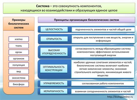 Примеры проявления принципа "100 к 1"