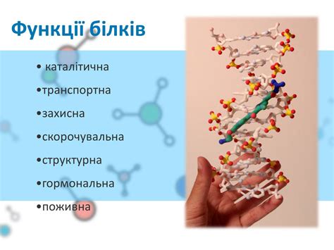 Примеры сложных белков гликопротеинов