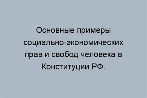 Примеры социально-экономических прав и свобод