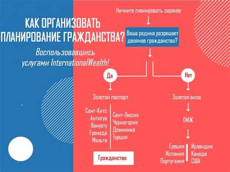 Примеры стран, где можно достичь высшей формы гражданства