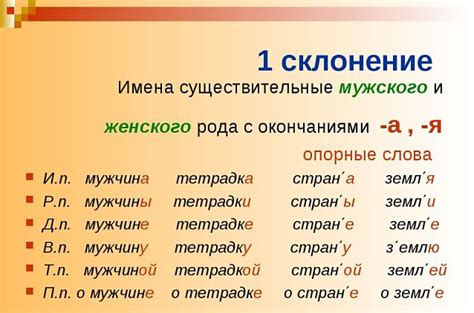 Примеры существительных женского рода