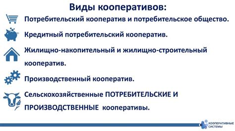 Примеры успешных сельскохозяйственных кооперативов в разных регионах