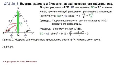 Пример вычисления биссектрисы в равностороннем треугольнике