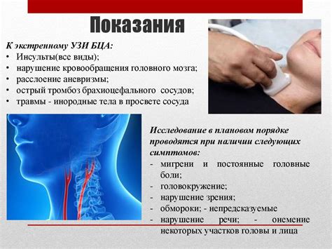 Принципы дуплексного сканирования брахиоцефальных сосудов шеи