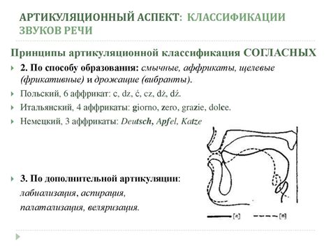 Принципы изучения звуков речи