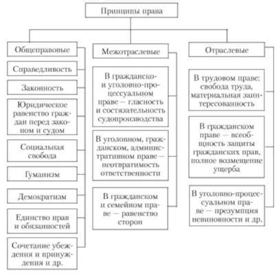 Принципы и нормы законодательства