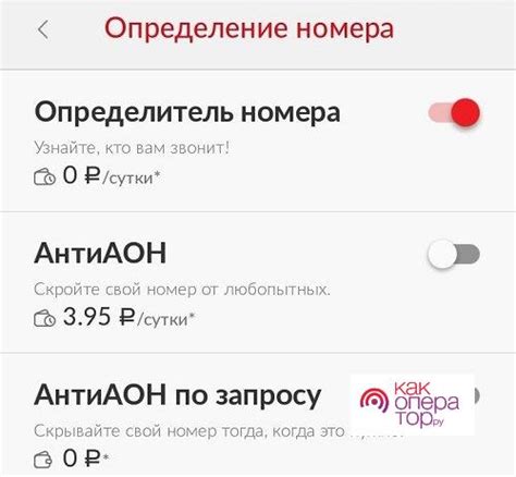 Принцип работы и функциональность supp в детализации звонков