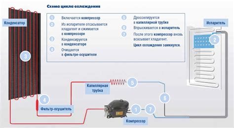 Принцип работы и эффективность