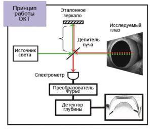 Принцип работы комплексной оптической когерентной томографии