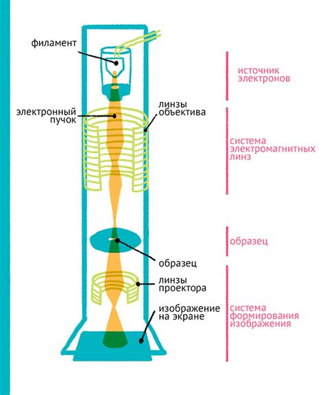 Принцип работы электронного микроскопа