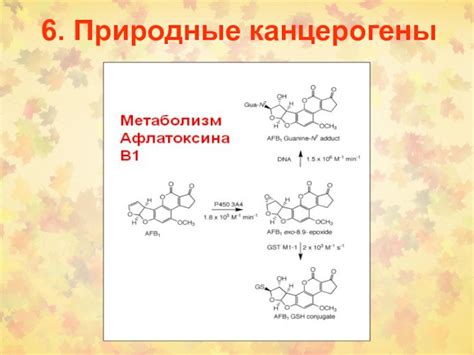 Природные канцерогены