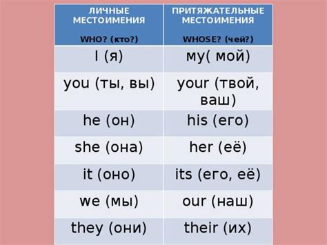 Притяжательные местоимения в английском языке: что это такое и как правильно их использовать