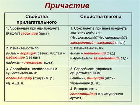 Причастие в русском языке