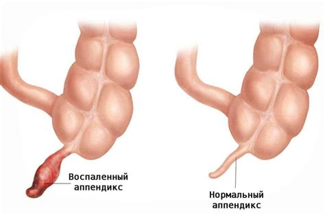 Причины, вызывающие болезненные ощущения у котят