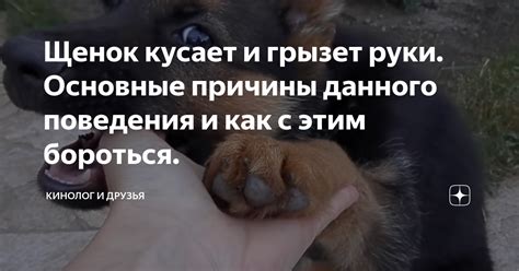 Причины, по которым человек кусает свои руки