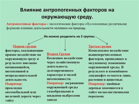 Причины "головы, наполненной ватой": непосредственные и косвенные факторы