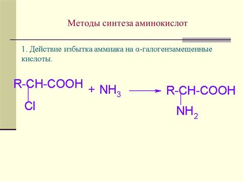 Причины возникновения избытка аминокислот