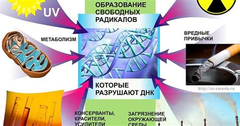 Причины возникновения свободных радикалов