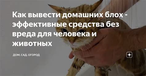 Причины вреда для животных и человека