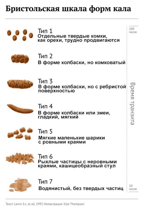 Причины зеленоватого стула у взрослых: