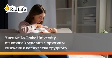 Причины и последствия снижения поступления молока