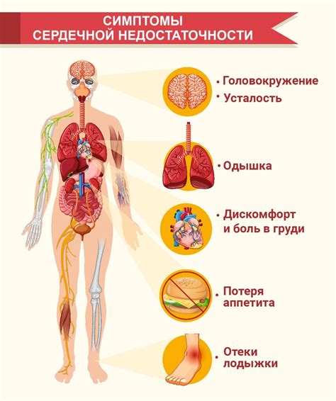 Причины и симптомы недостаточности кровообращения 1 степени