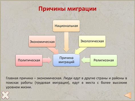 Причины миграции мух в холодное время года