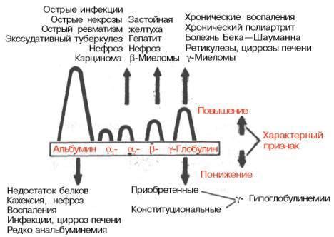 Причины неусвоения белков организмом