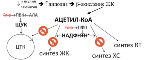 Причины образования кетоновых тел в моче