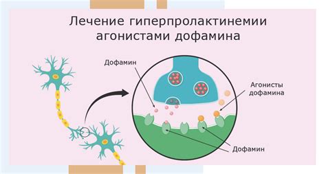 Причины повышенного уровня ретикулоцитов у женщины