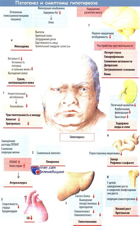 Причины развития симптомов