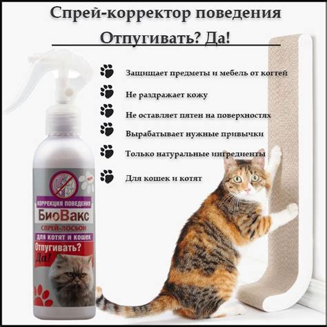 Причины царапания котов мебели и предметов