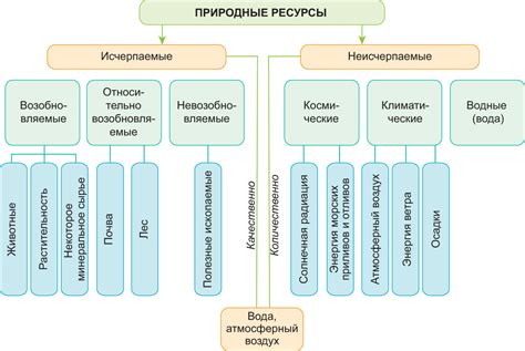 Причины частых чиханий: основные факторы