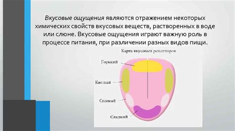 Приятные вкусовые ощущения во сне: символическое значение