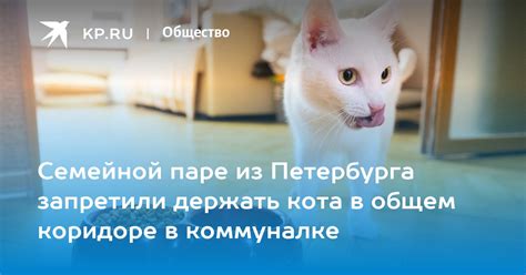 Проблема гадания кота в коридоре