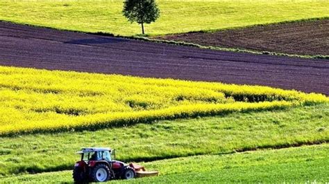 Проблемы, возникающие при отсутствии категории земли