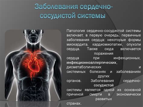 Проблемы гиподинамии и гипердинамии