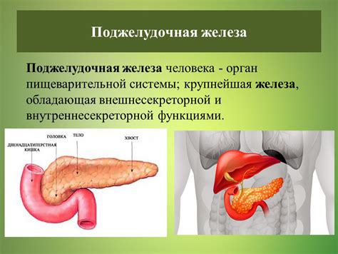 Проблемы с поджелудочной железой