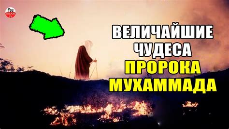 Пробуждение народов и чудеса Мухаммада