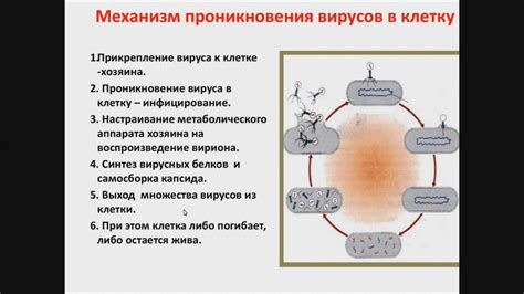 Проведение профилактических мер