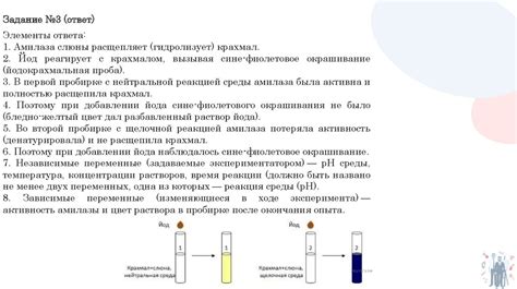 Проведение эксперимента и анализ результатов