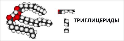 Проверка уровня триглицеридов