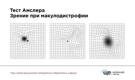 Проверка цветоустойчивости