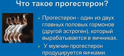 Прогестерон: функции, связанные с репродуктивной системой