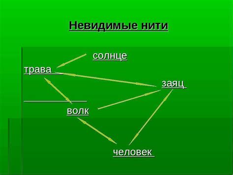 Прогнозирование экологических последствий с помощью невидимых нитей ответов