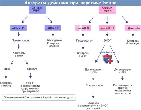 Прогноз и реабилитация при параличе Белла