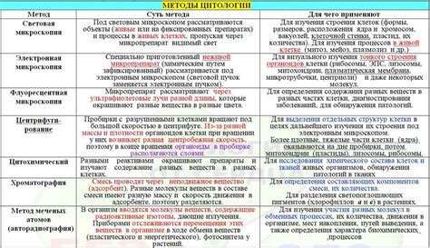 Программа и учебный материал