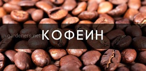 Продукты, содержащие кофеин