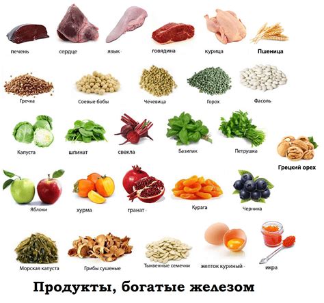 Продукты для повышения гемоглобина: