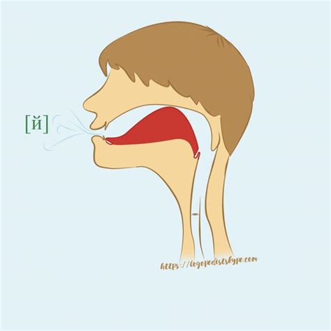 Произношение звука [j]